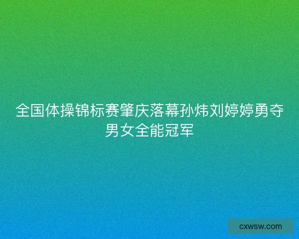 全国体操锦标赛肇庆落幕孙炜刘婷婷勇夺男女全能冠军