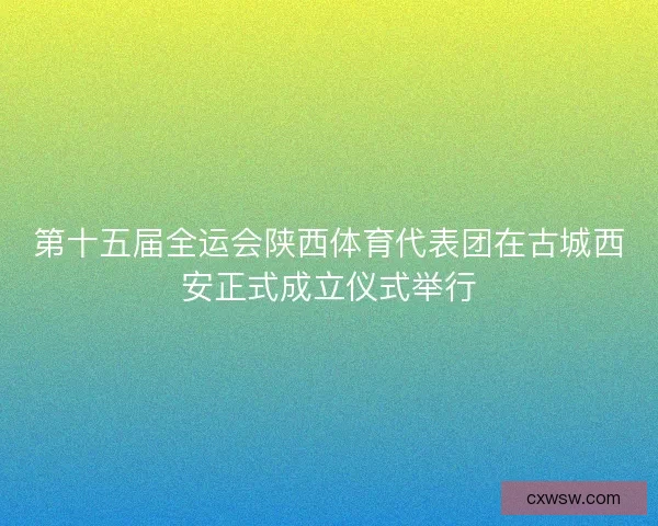 第十五届全运会陕西体育代表团在古城西安正式成立仪式举行