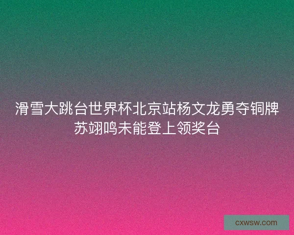 滑雪大跳台世界杯北京站杨文龙勇夺铜牌苏翊鸣未能登上领奖台
