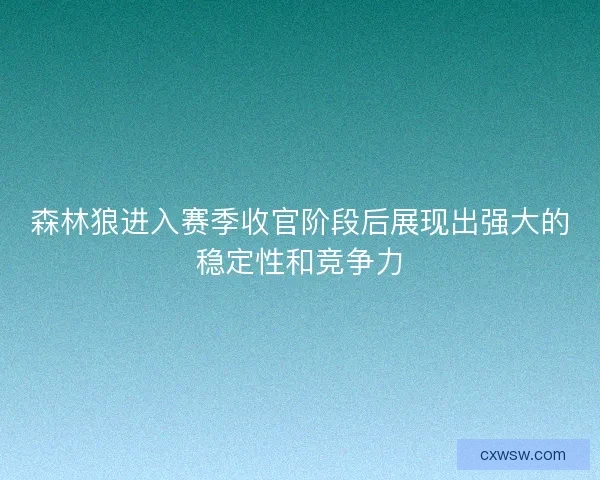 森林狼进入赛季收官阶段后展现出强大的稳定性和竞争力 森林狼进入赛季收官阶段后展现出强大的稳定性和竞争力